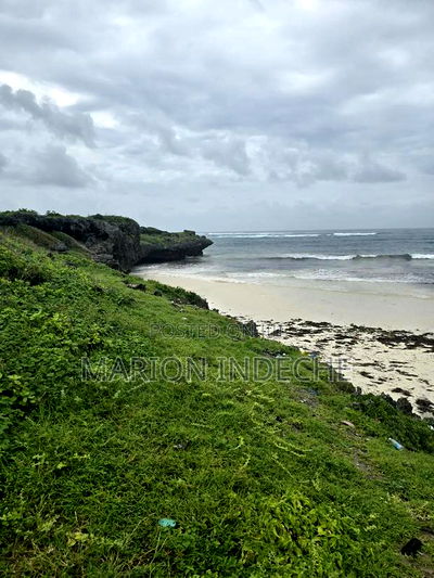 4 Acres Touching the Beach in Kilifi Chumani - Image 6