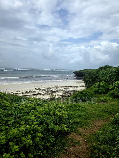 4 Acres Touching the Beach in Kilifi Chumani - Image 1