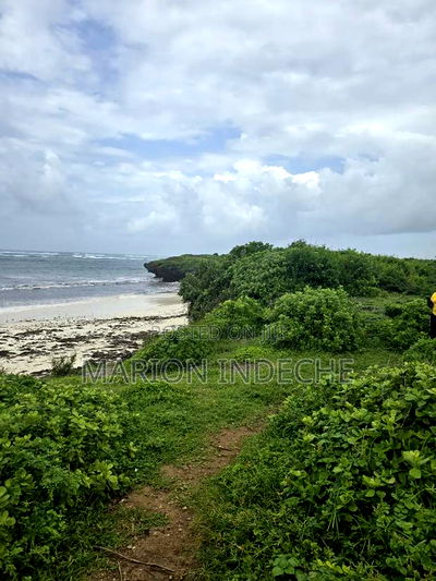 4 Acres Touching the Beach in Kilifi Chumani - Image 7