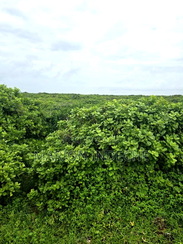 4 Acres Touching the Beach in Kilifi Chumani