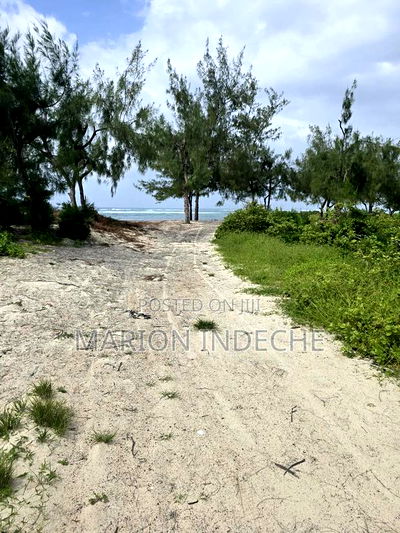 4 Acres Touching the Beach in Kilifi Chumani - Image 11