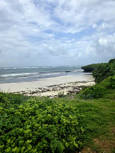 4 Acres Touching the Beach in Kilifi Chumani - Image 9