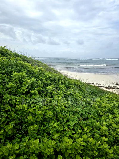 4 Acres Touching the Beach in Kilifi Chumani - Image 8