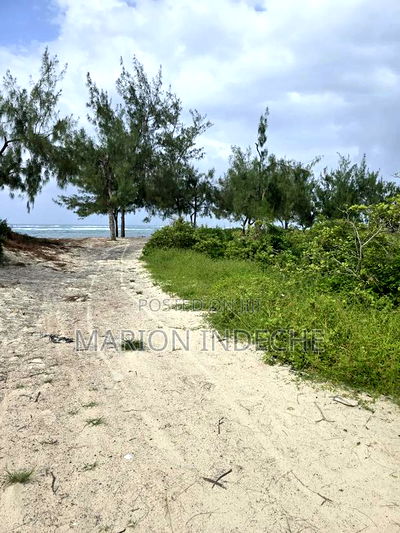 4 Acres Touching the Beach in Kilifi Chumani - Image 13