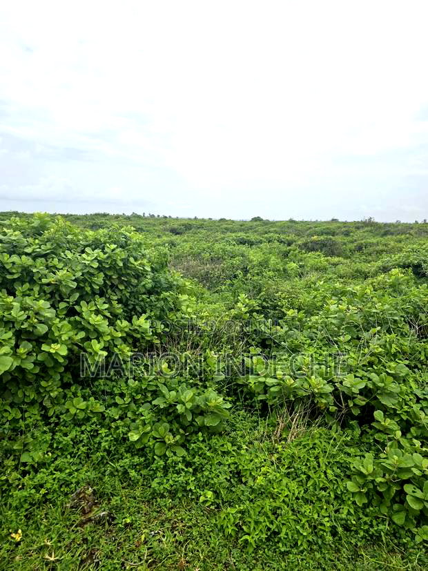 4 Acres Touching the Beach in Kilifi Chumani
