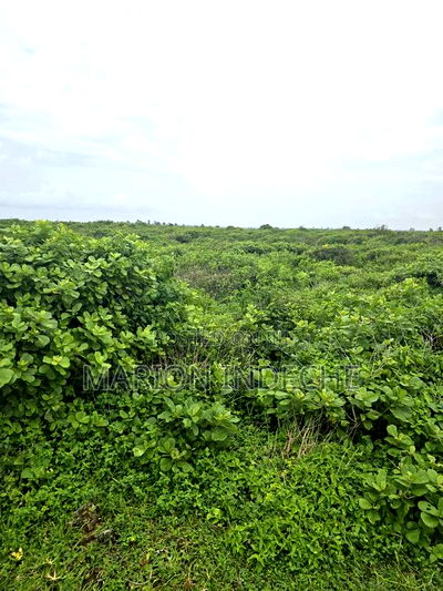 4 Acres Touching the Beach in Kilifi Chumani - Image 2