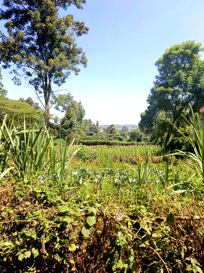 Quarter Kerarapon - Image 3