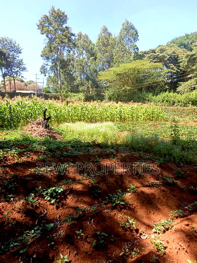 Quarter Kerarapon - Image 6