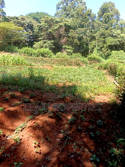 Quarter Kerarapon - Image 5