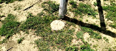 Residential Plots in Nakuru - Image 2