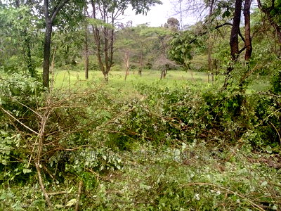 90 Acre Quick Sale Ikutha - Image 1