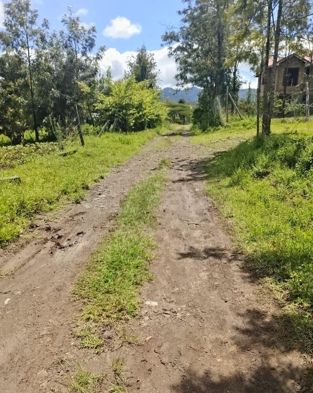 Pet Friendly 1/4 Acre in Ngong