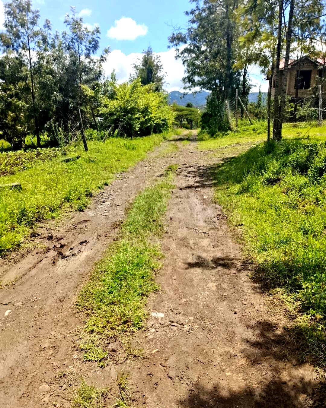 Pet Friendly 1/4 Acre in Ngong
