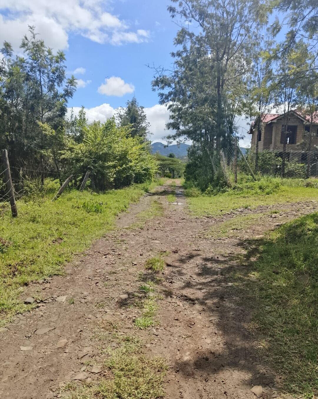 Pet Friendly 1/4 Acre in Ngong
