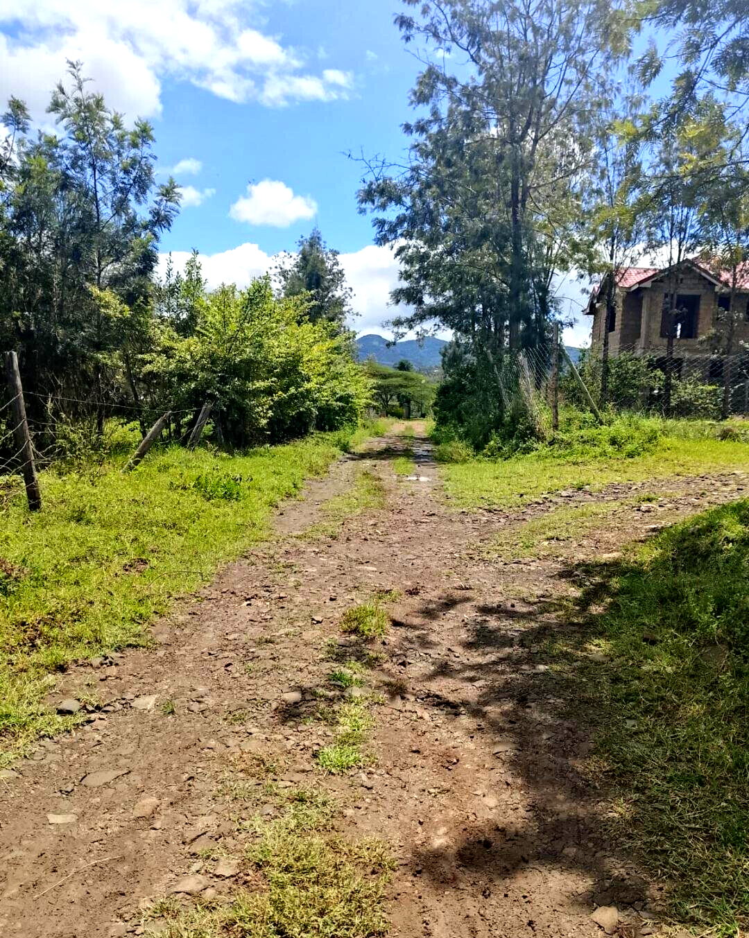 Pet Friendly 1/4 Acre in Ngong