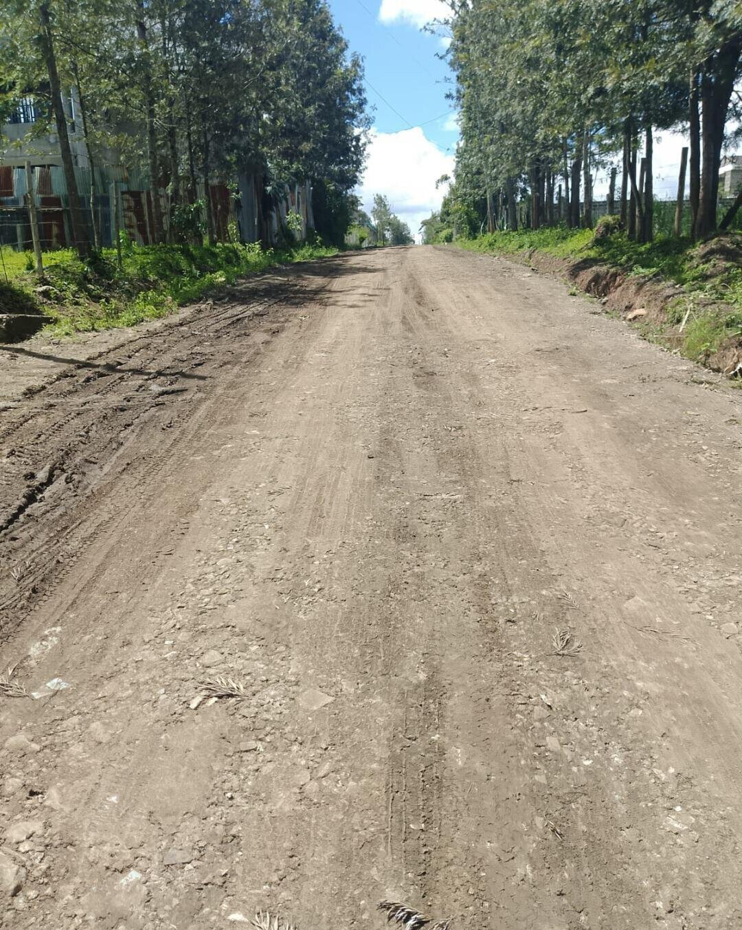 Pet Friendly 1/4 Acre in Ngong