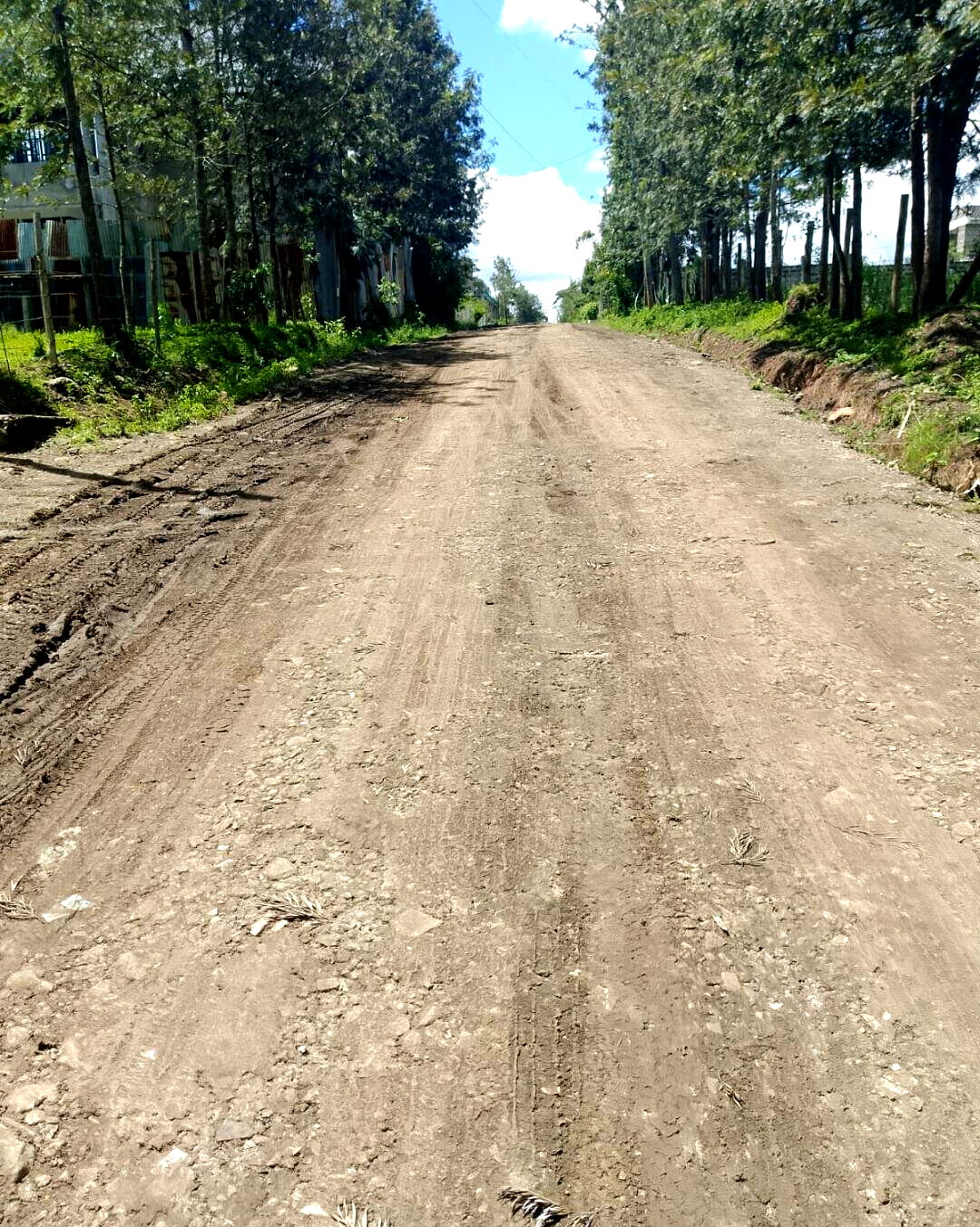 Pet Friendly 1/4 Acre in Ngong
