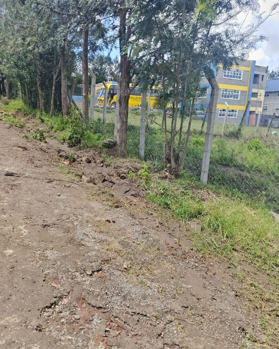 Pet Friendly 1/4 Acre in Ngong