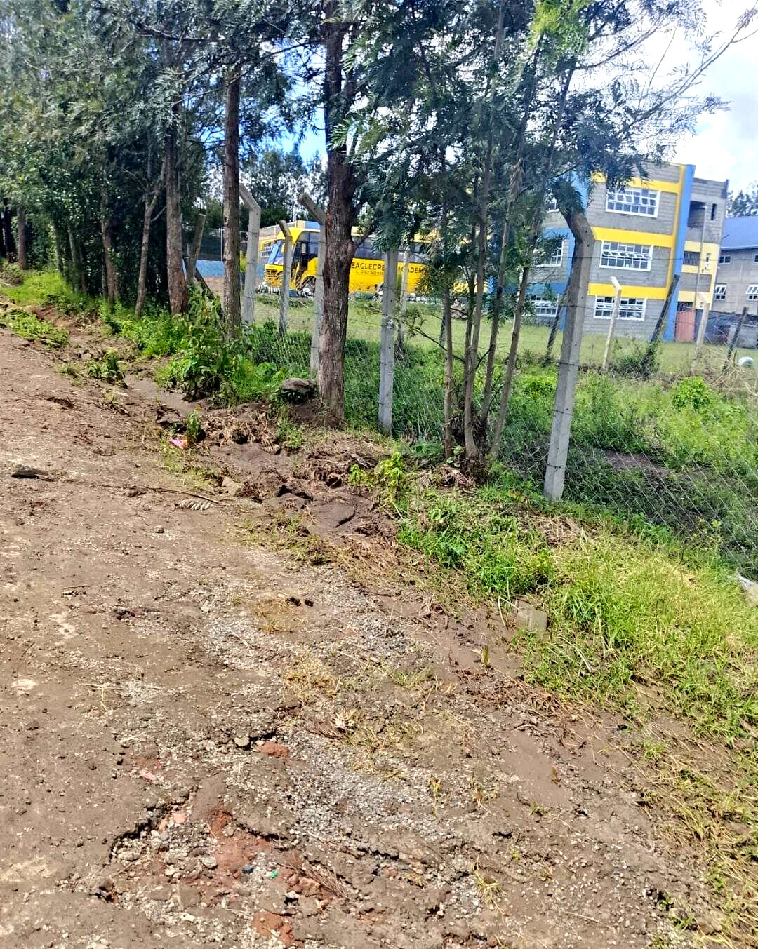 Pet Friendly 1/4 Acre in Ngong