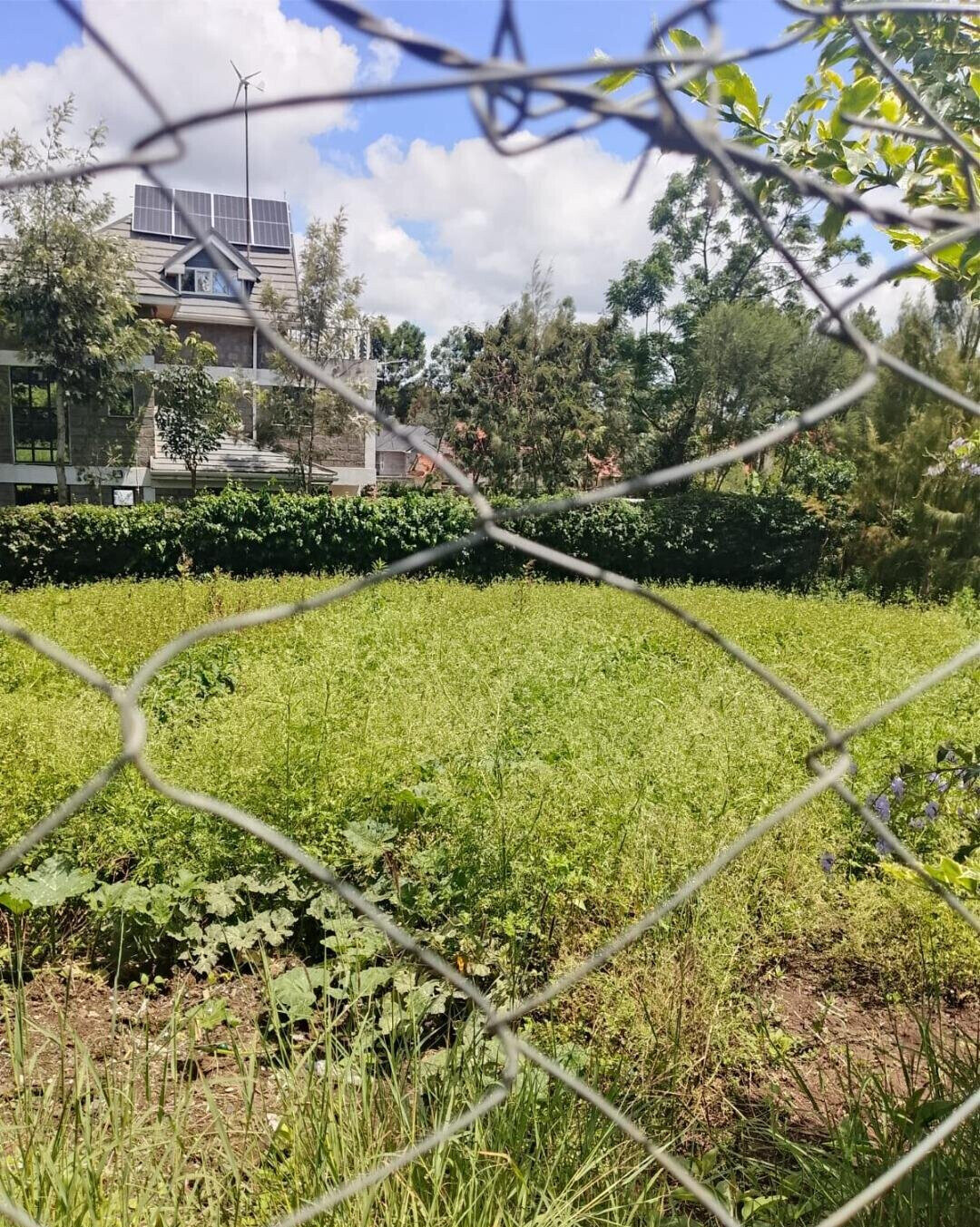 Pet Friendly 1/4 Acre in Ngong