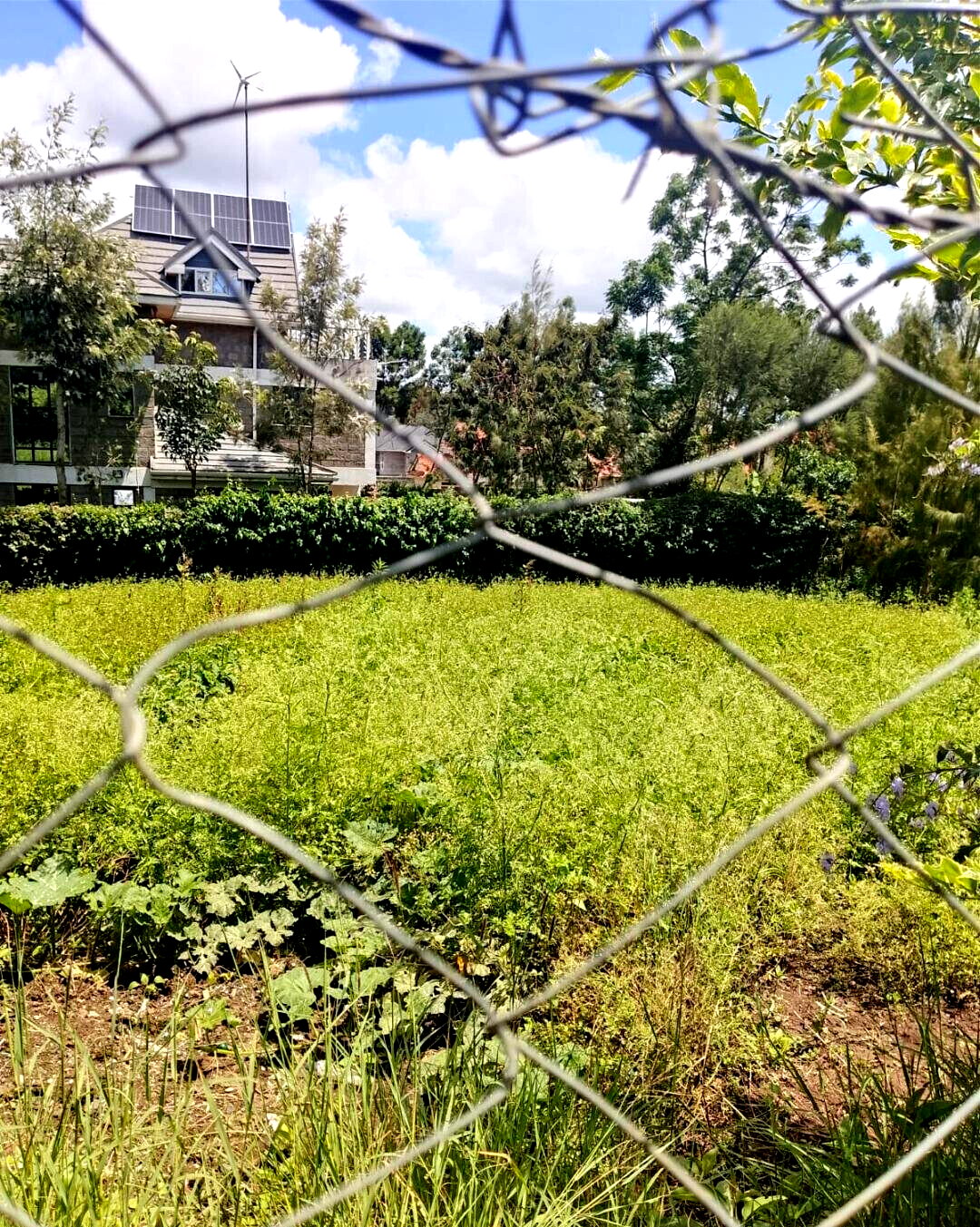 Pet Friendly 1/4 Acre in Ngong