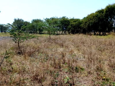 Half Acre Plot at Seleni Kangundo Rd - Image 8