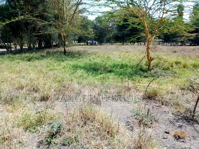 Half Acre Plot at Seleni Kangundo Rd - Image 10