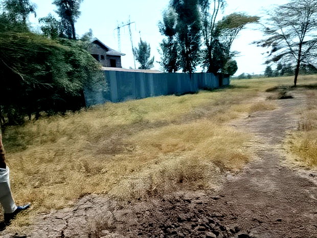 Half Acre Plot at Seleni Kangundo Rd