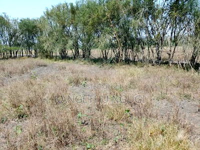 Half Acre Plot at Seleni Kangundo Rd - Image 6