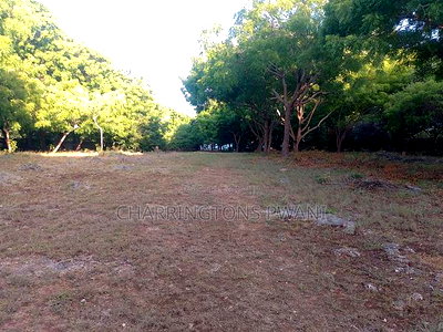 4.5-Acre Prime Beachfront Plot - Diani CBD | EUR1.6 Million - Image 7