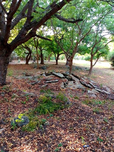 4.5-Acre Prime Beachfront Plot - Diani CBD | EUR1.6 Million - Image 9