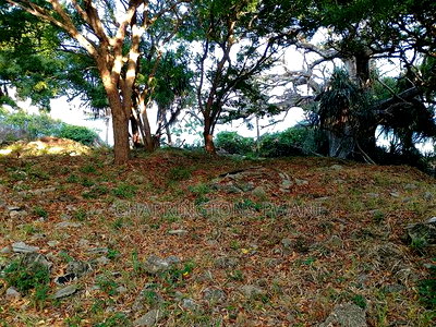 4.5-Acre Prime Beachfront Plot - Diani CBD | EUR1.6 Million - Image 5