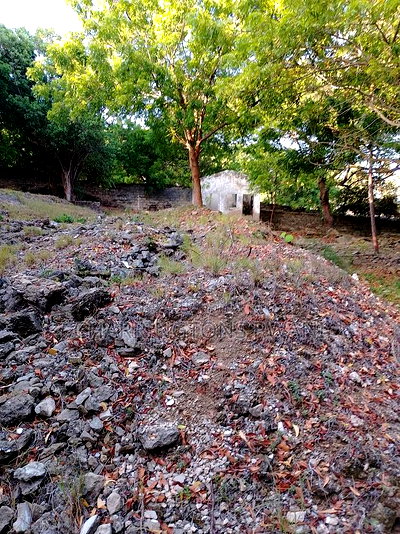 4.5-Acre Prime Beachfront Plot - Diani CBD | EUR1.6 Million - Image 8