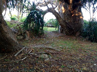 4.5-Acre Prime Beachfront Plot - Diani CBD | EUR1.6 Million - Image 4