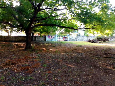 4.5-Acre Prime Beachfront Plot - Diani CBD | EUR1.6 Million - Image 11