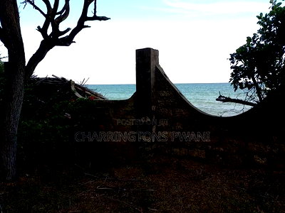 4.5-Acre Prime Beachfront Plot - Diani CBD | EUR1.6 Million - Image 2