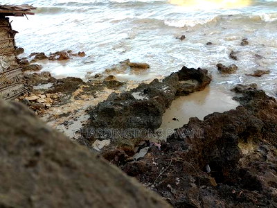 4.5-Acre Prime Beachfront Plot - Diani CBD | EUR1.6 Million - Image 1