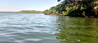 Uyoma Beach Plot in Osindo - Image 6