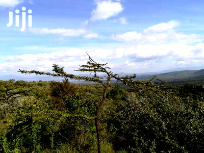 Naivasha Green Park Prime 5acres Block - Image 4