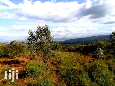 Naivasha Green Park Prime 5acres Block - Image 7