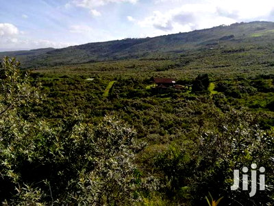 Naivasha Green Park Prime 5acres Block - Image 5