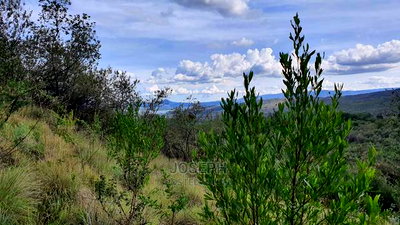 Naivasha Green Park Prime 5acres Block - Image 9