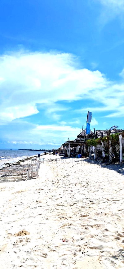 For Sale 10 Acre Sandy Beach Land. - Image 4