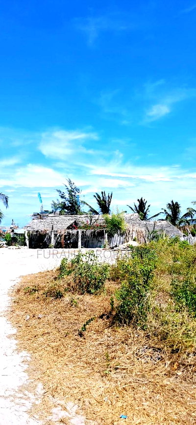 For Sale 10 Acre Sandy Beach Land. - Image 6