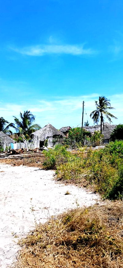 For Sale 10 Acre Sandy Beach Land. - Image 5