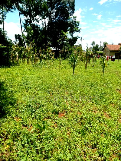 1/2 Acre Annex,/Sukunanga With Title. - Image 2