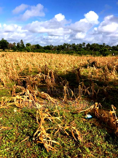 3 Acres of Land at Sita in Watamu - Image 3