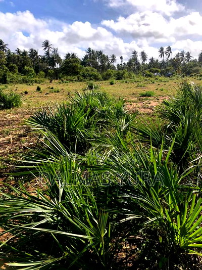 3 Acres of Land at Sita in Watamu - Image 4