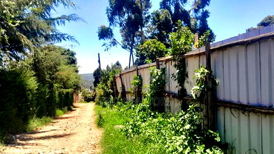 Plots for Sale in Kikuyu Thamanda Waiyaki Way - Image 9