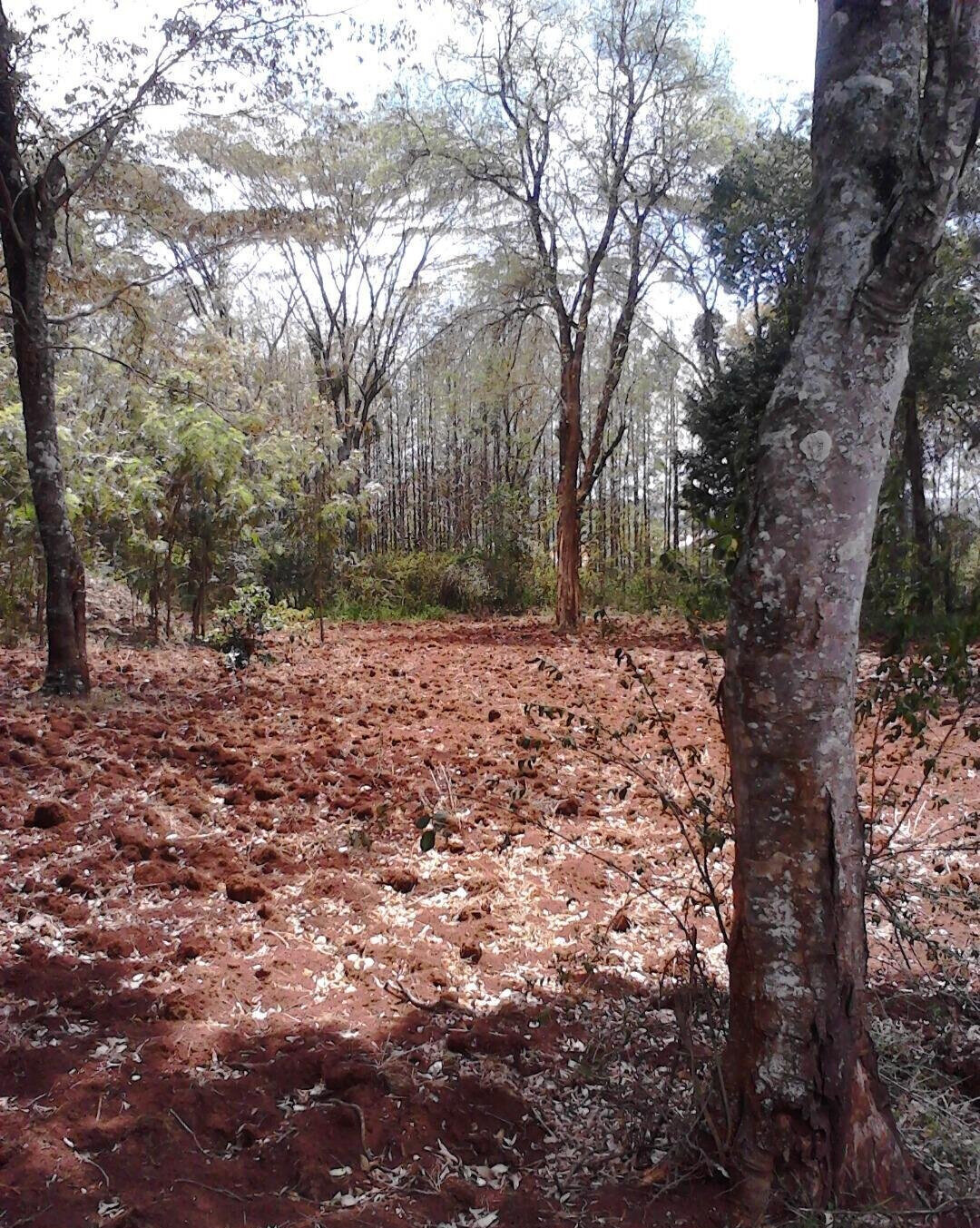 1.5 Acre Westlands Plot with Garden